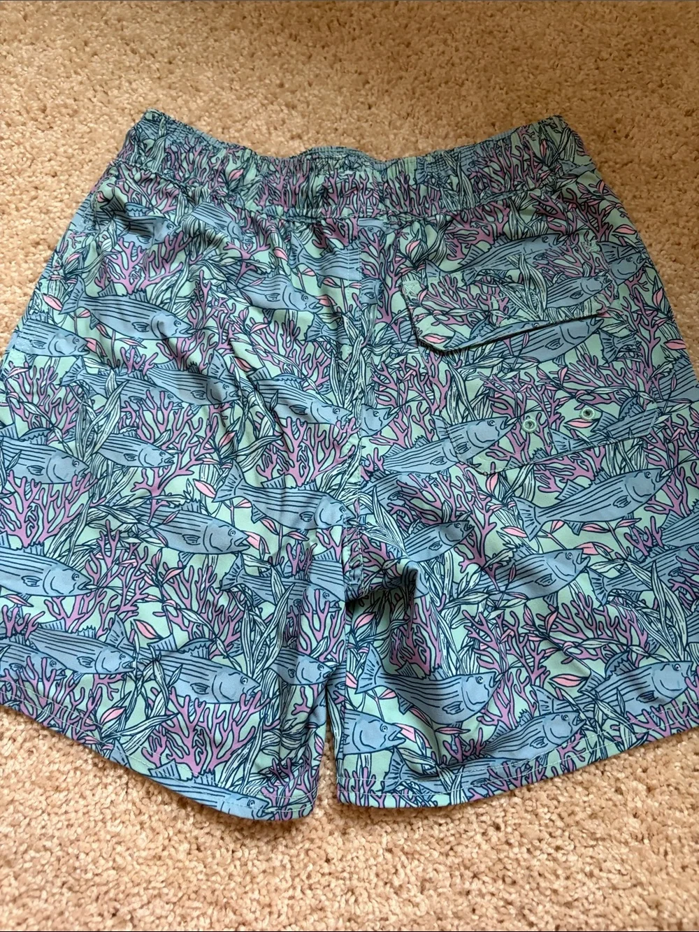 Vineyard Vines Light Blue & Aqua Tropical Fish Swim Shorts